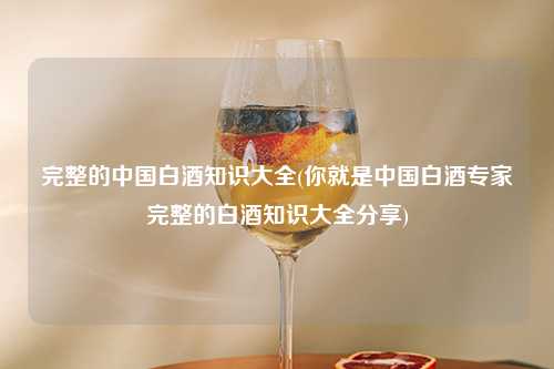 完整的中国白酒知识大全(你就是中国白酒专家完整的白酒知识大全分享) 杂谈 完整的中国白酒知识大全(你就是中国白酒专家完整的白酒知识大全分享) 杂谈